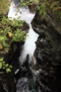 Milford Sound - Chasm